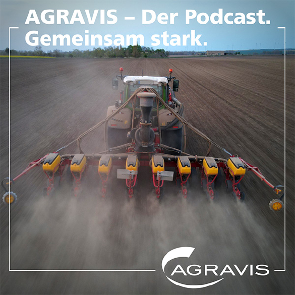 AGRAVIS-Podcast: 5 Fragen zum Thema teilflächenspezifische Maisaussaat